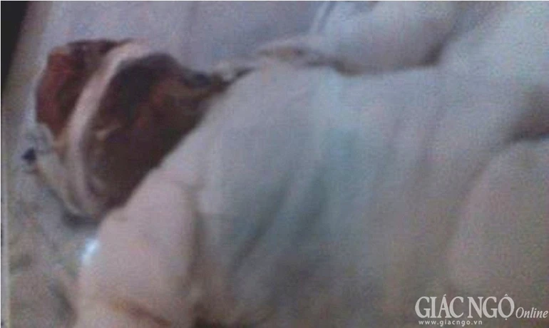 Bé Nguyên nằm trong phòng cách ly